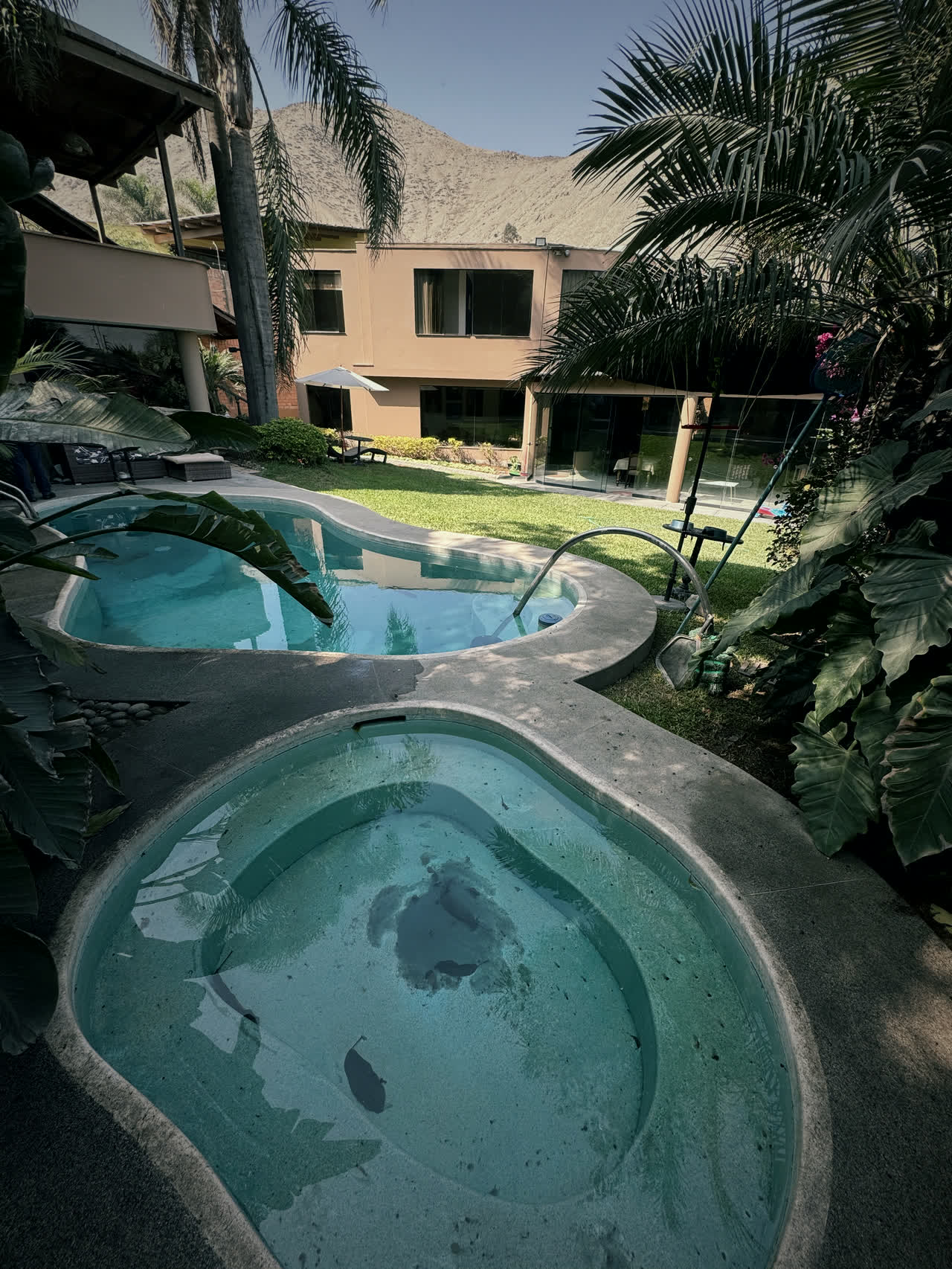 Piscina y jacuzzi rodeados de vegetación